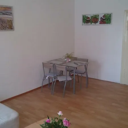 Apartman V Centru Pisku 公寓